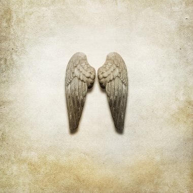 Angel Wings Background clipart