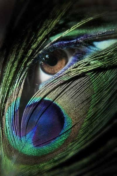 Beautiful woman eye with peacock feather — Stock Photo, Image