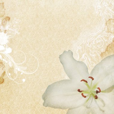 Vintage grunge arka plan