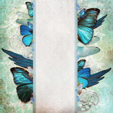Vintage shabby chic arka kelebek ile