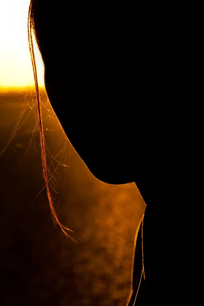 Silhueta de uma mulher na frente do fundo do nascer do sol — Fotografia de Stock