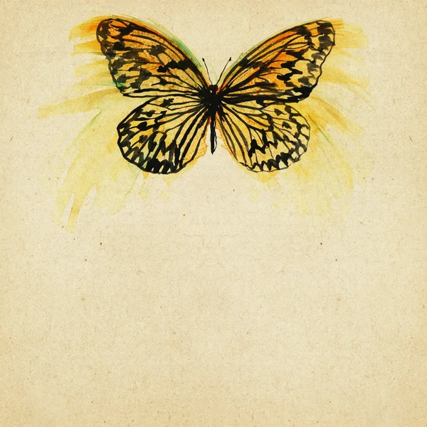 Vintage background with butterfly — Stock Photo, Image