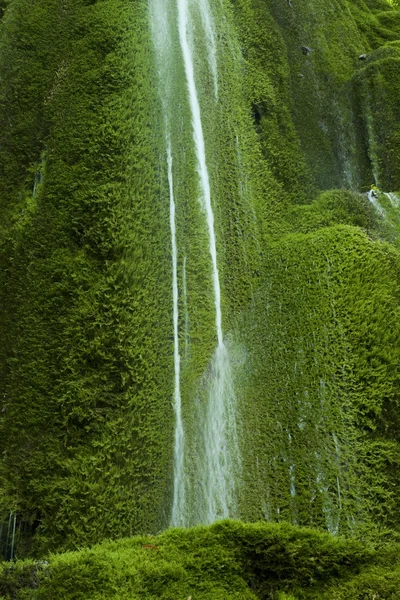 苔藓瀑布 — 图库照片