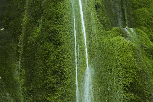 Moosiger Wasserfall — Stockfoto