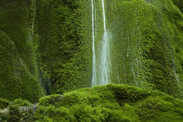 Cachoeira musgosa — Fotografia de Stock