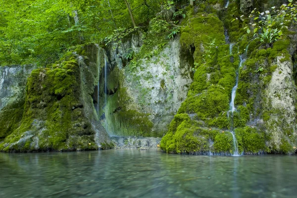 Mossy waterval — Stockfoto