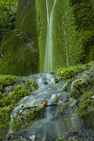 Mossy waterfall — Stock Photo, Image