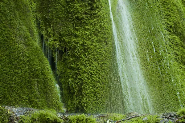 Mossy waterfall — Stock Photo, Image