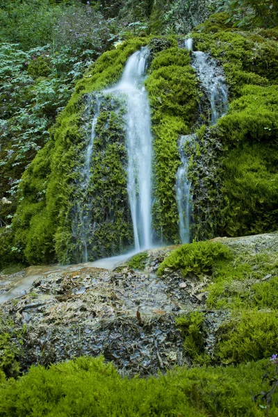 Moosiger Wasserfall — Stockfoto