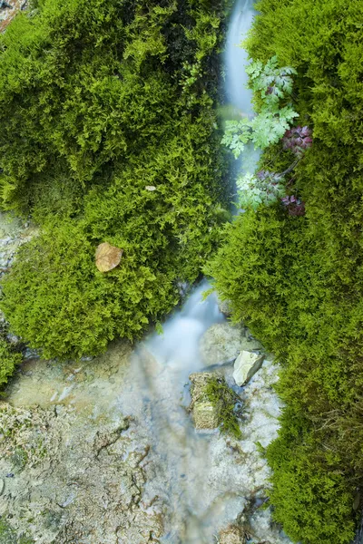 Moosiger Wasserfall — Stockfoto