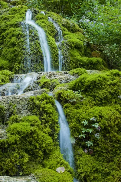 Cachoeira musgosa — Fotografia de Stock