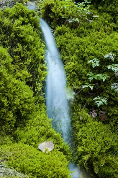 Moosiger Wasserfall — Stockfoto