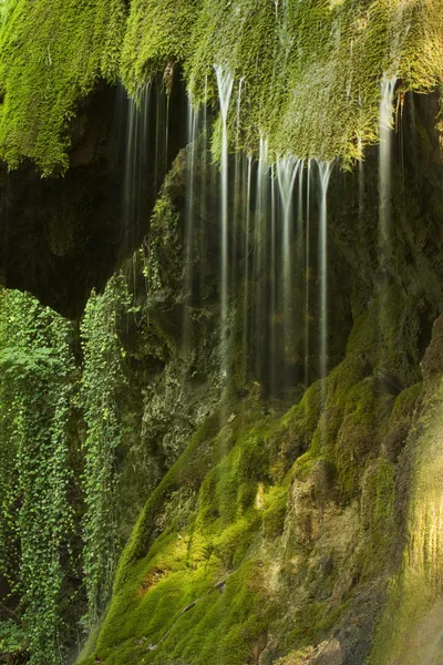 Moosiger Wasserfall — Stockfoto