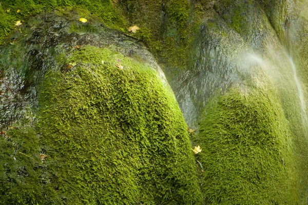Moosiger Wasserfall — Stockfoto