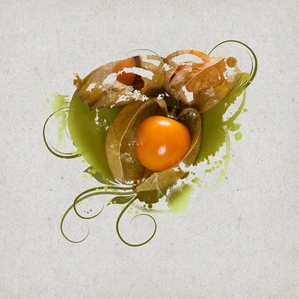 Diseño de fondo vintage con fruta — Foto de Stock