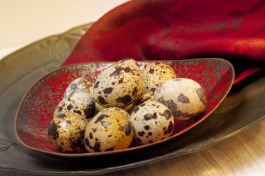 bıldırcın yumurtası