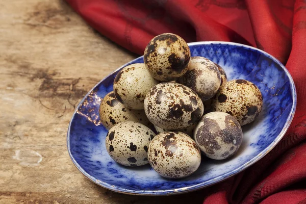 Quail eggs — Stock Photo, Image