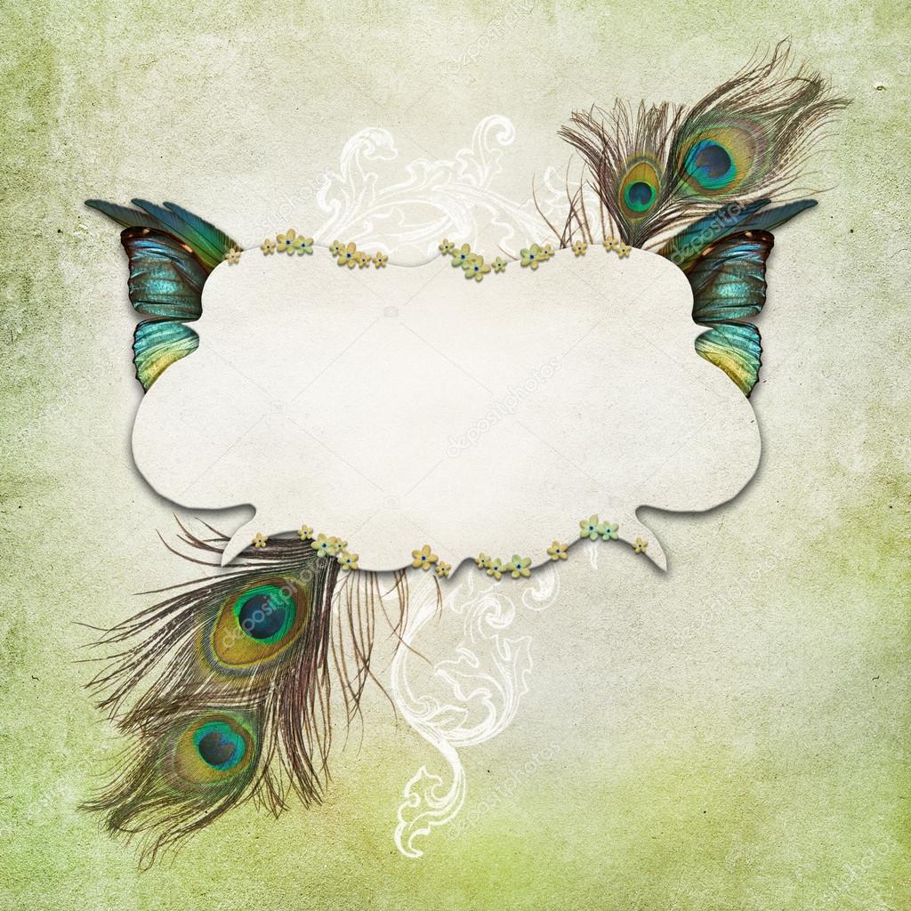 Vintage background with feathers