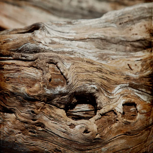 Estructura madera grunge fondo — Foto de Stock