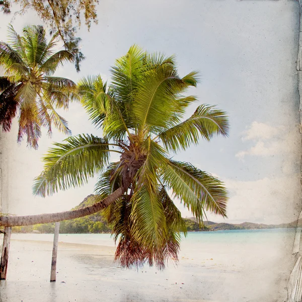 Dream beach grunge bakgrund — Stockfoto