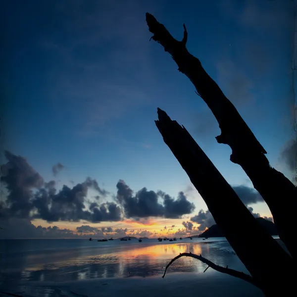 Sunrise in Paradise — Stock Photo, Image