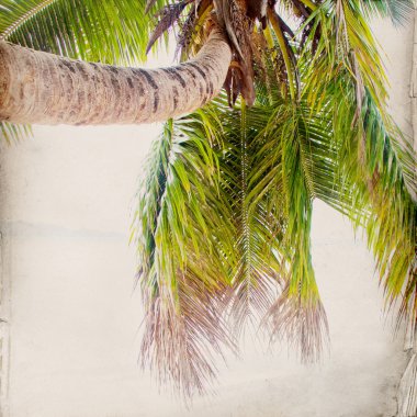 Dream beach grunge arka plan