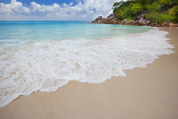 Playa de ensueño - anse georgette —  Fotos de Stock