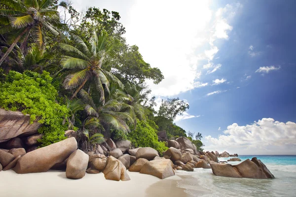 Playa de ensueño - anse georgette —  Fotos de Stock