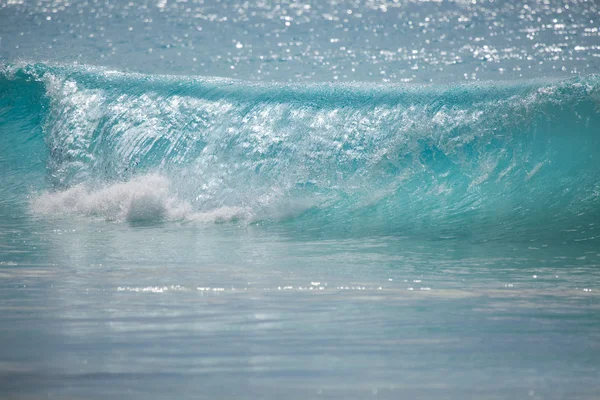 Кристально чистая волна на пляже — стоковое фото