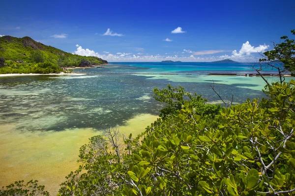 Curieuse island Seychely — Stock fotografie