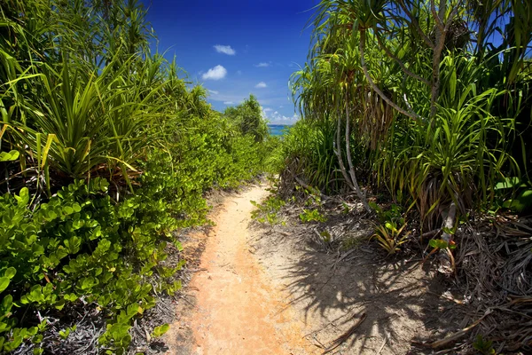 Trail way through Curieuse Island — Stock Photo, Image