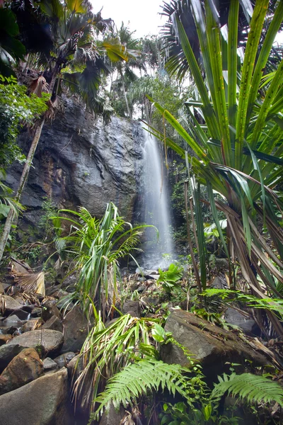 Jungle Landscape with Waterfall — Stock Photo, Image