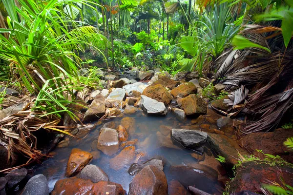 Paisaje de la selva con cascada — Foto de Stock