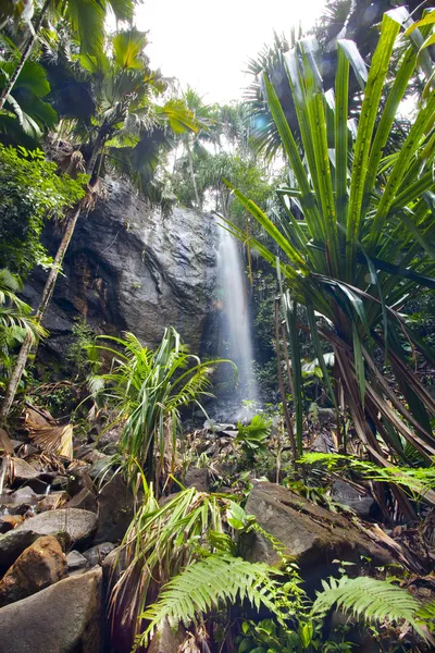 Jungle landschap met waterval — Stockfoto