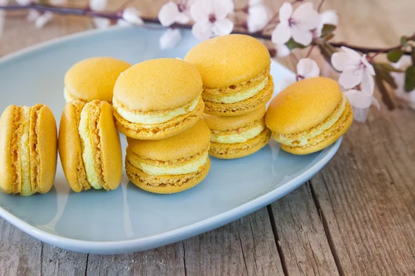 Macarões doces — Fotografia de Stock