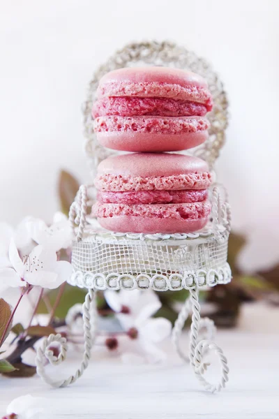 Sweet Macarons — Stock Photo, Image