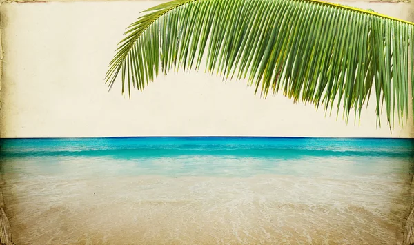 Дрен пляж фон паперу — 스톡 사진