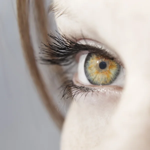 Hermoso ojo de mujer de cerca — Foto de Stock