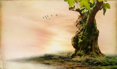 romantik orman Manzaralı