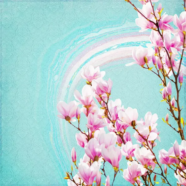 Shabby chic bakgrund med magnolia — Stockfoto