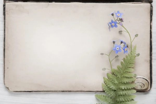Otrhaný šik pozadí s starožitný papír a květiny — Stock fotografie