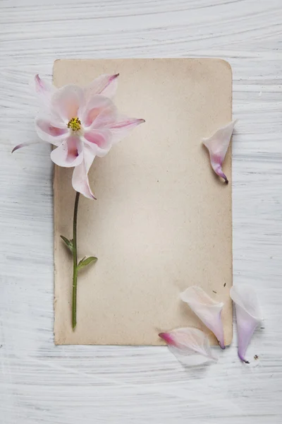 Shabby Chic Hintergrund mit antikem Papier und Blumen — Stockfoto