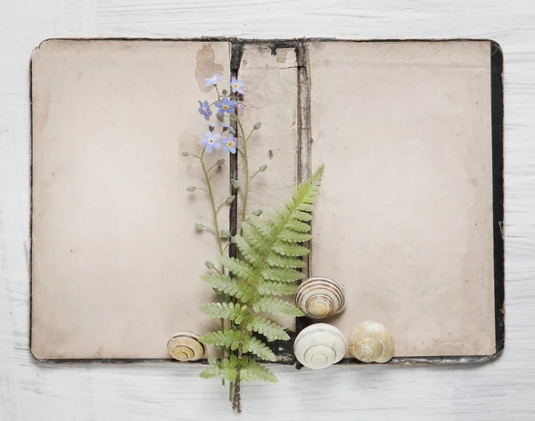 Shabby chic achtergrond met antieke papier en bloemen — Stockfoto