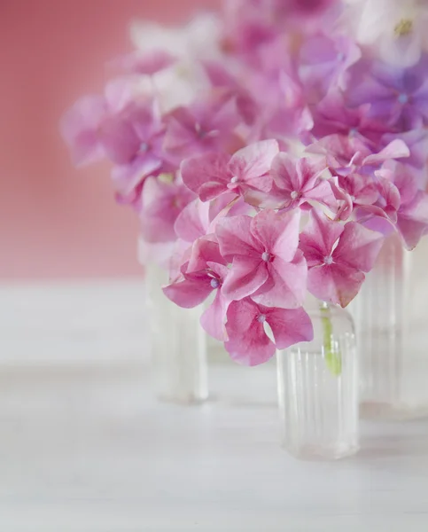 Shabby Chic Background with purple and pink flowers — Stock Photo, Image