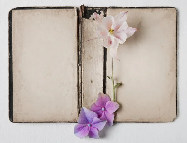 Shabby Chic Background with antique paper and flowers — Stock Photo, Image