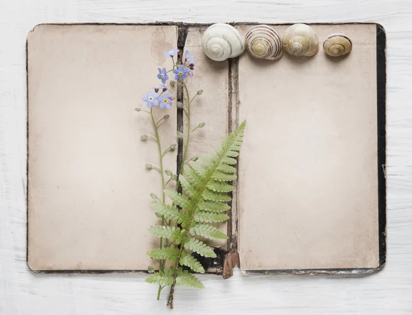 アンティークの紙と花でぼろぼろのシックな背景 — ストック写真