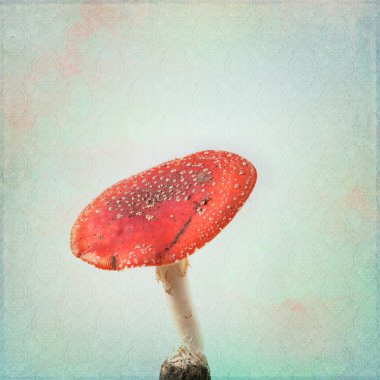 antika arka plan ile sinek agaric