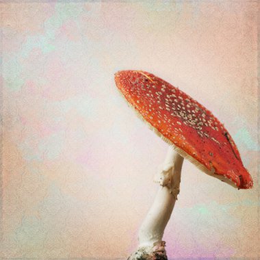 antika arka plan ile sinek agaric