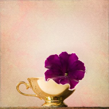 shabby chic arka plan ile Petunya antika bir fincan