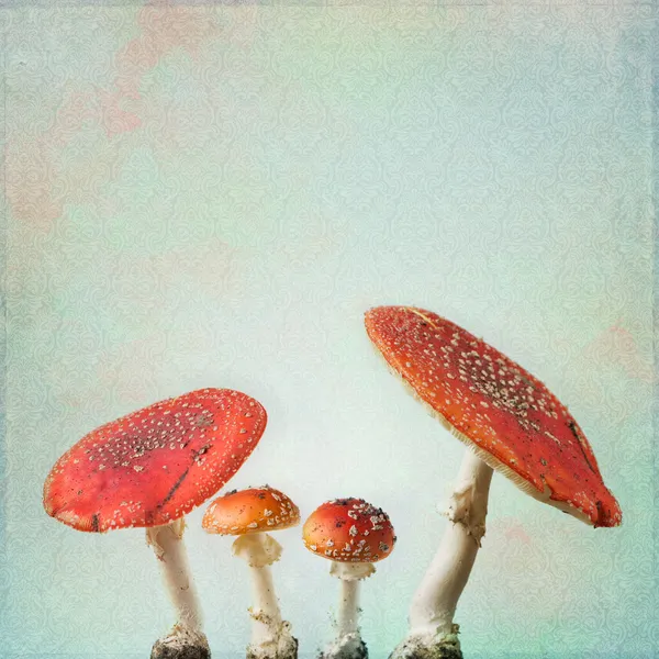 antika arka plan ile sinek agaric